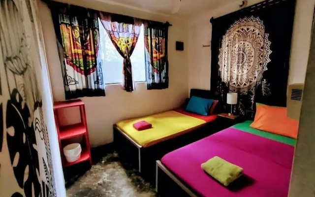 Casa Jungla Hostel