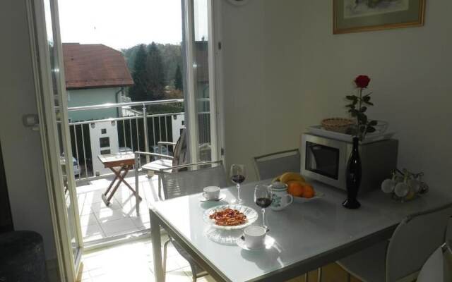 Apartments and Rooms Oliviers