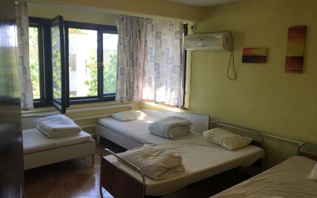 Hair of the Dog Hostel