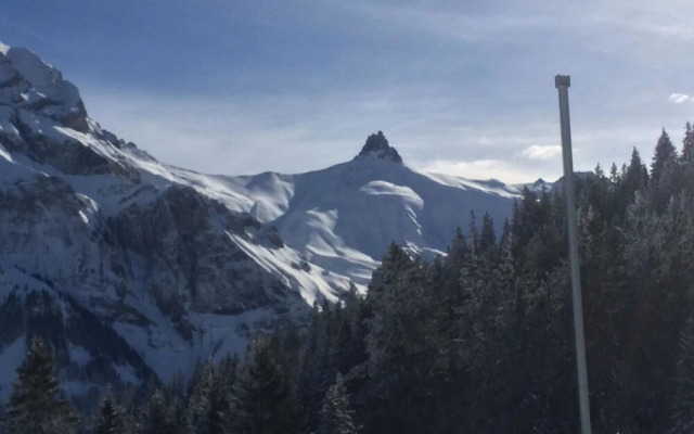 Aloa Adelboden in Adelboden
