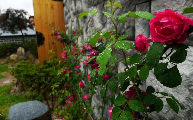 Sieoso Hotel - Hostel