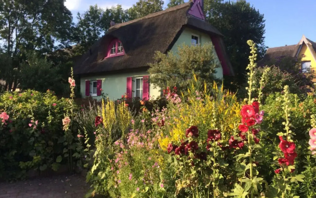 Red-throated Diver Modern Retreat