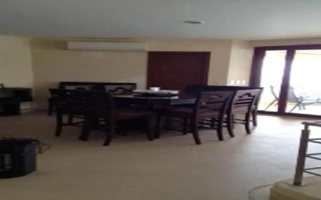 Palmetto Ixtapa 313