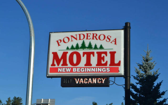 Ace Motel