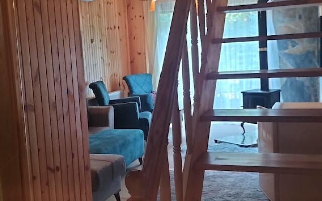 EDI Group Turizm Sapanca Villas