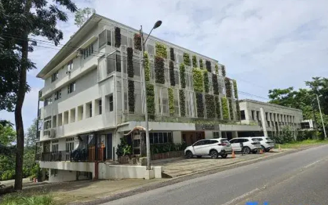 Vine and Canopy