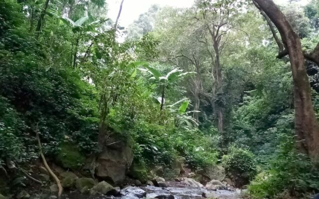 Ifulong cultural tourism homestay
