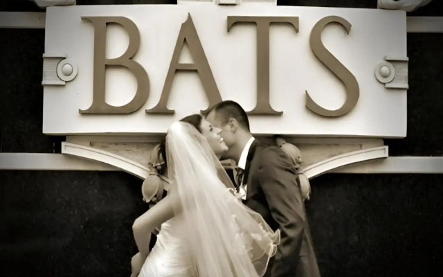 Spa Hotel Bats