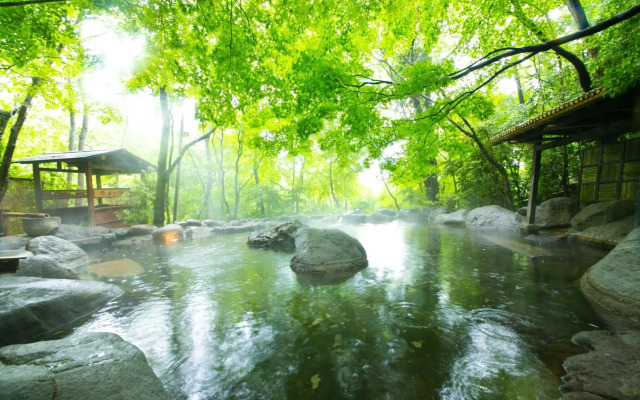 Nihon No Ashitaba