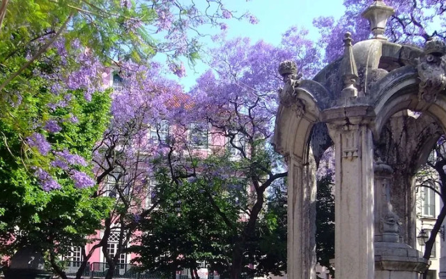 Lisbon City Stay Largo do Carmo