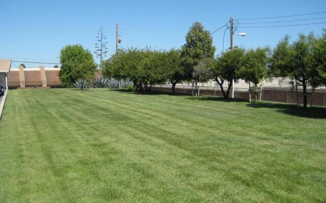 Solaire Inn & Suites