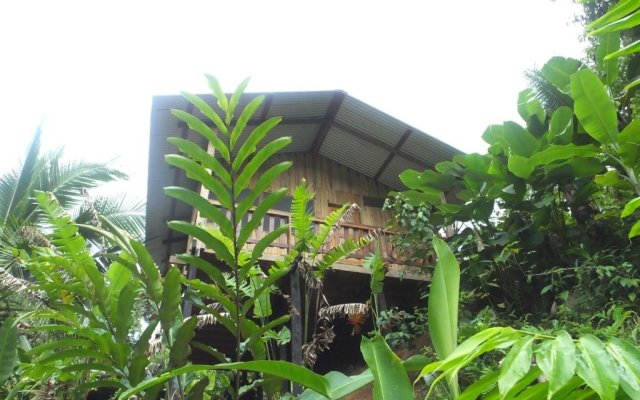 Estación Biológica Tamandua