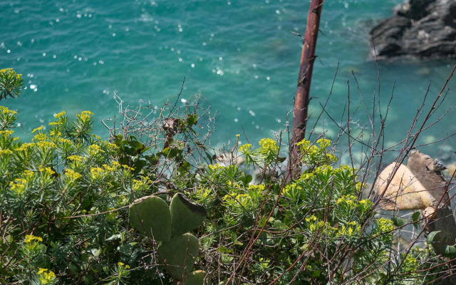 Muin a Ventu Historical Tower