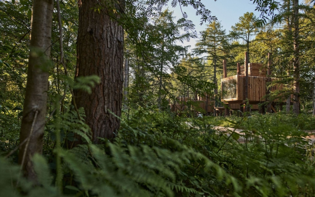 Treeloft Adventure in Nature for 4 People 13