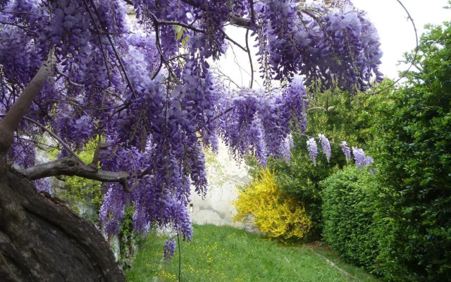 Chateau Notre Dame de Sausses