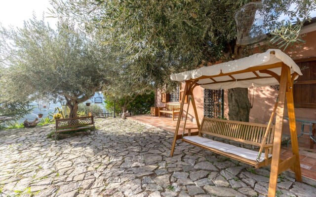 Rocca di Mezzogiorno - Zafferano