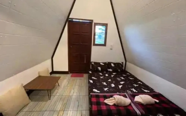 Yellowstone Cheewa View