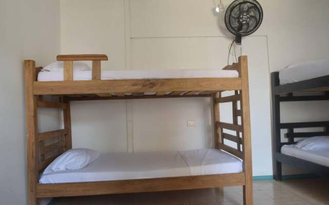 Mango Tree Hostel 4 20