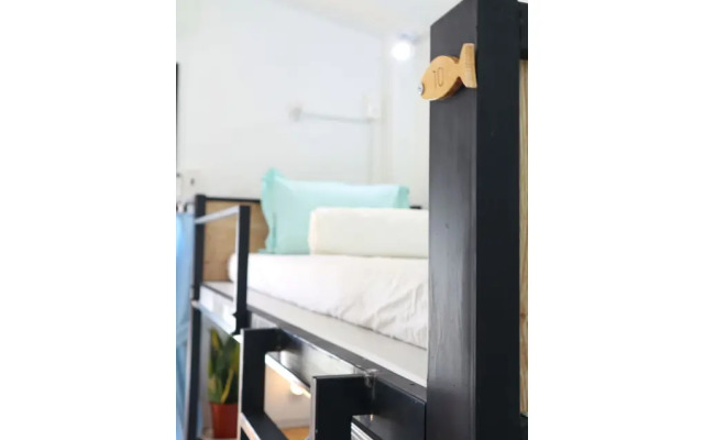 Tigonhouse Hostel