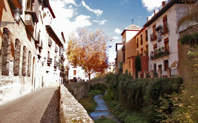Rosa De Comares