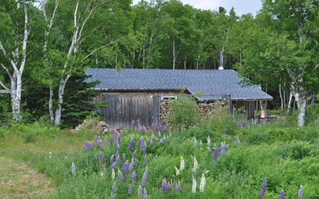 The Dancing Moose Cafe