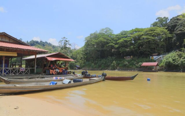 Mutiara Taman Negara