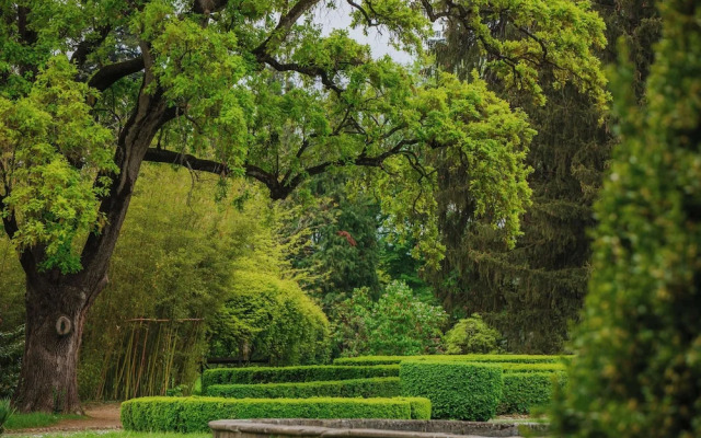 Tsinandali Estate, a Radisson Collection Hotel