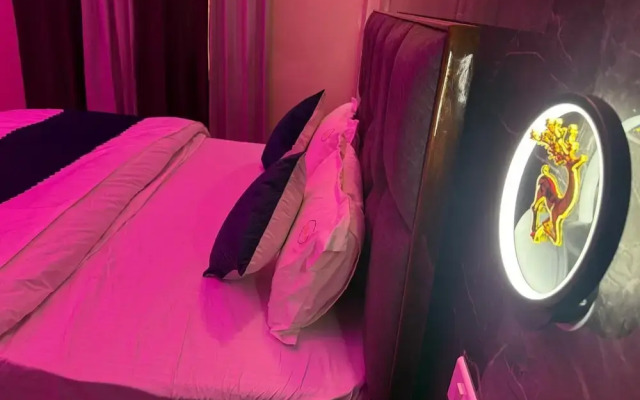 Hotel Paradise - Chandigarh