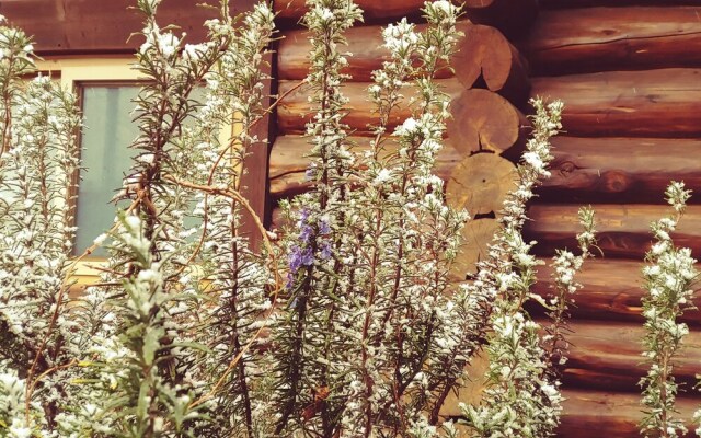 Jeju Nandere Log Pension