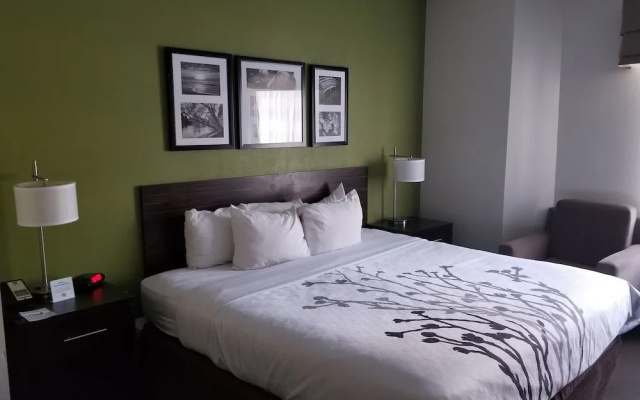 Sleep Inn Walterboro