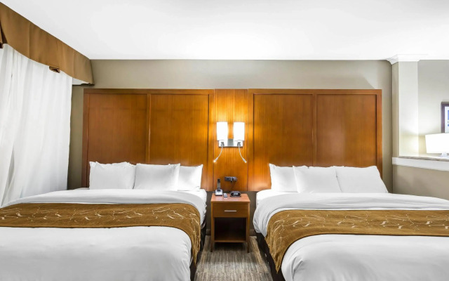 Comfort Suites University