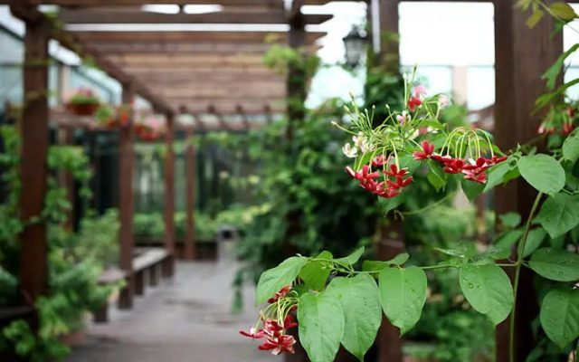 Hongfeng Hotel Nanshan Branch