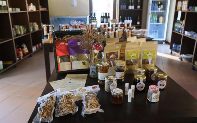 Alvão Village & Camping