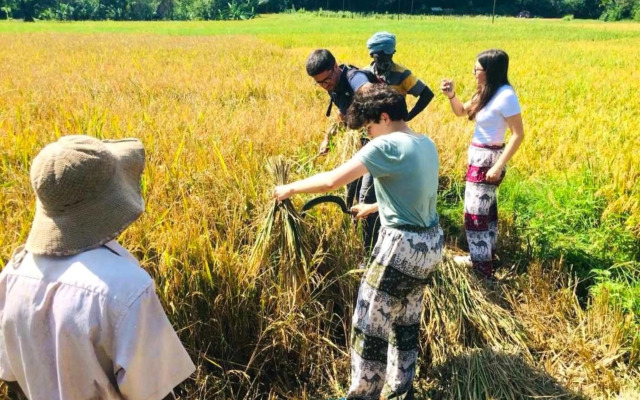 Nature valley homestay