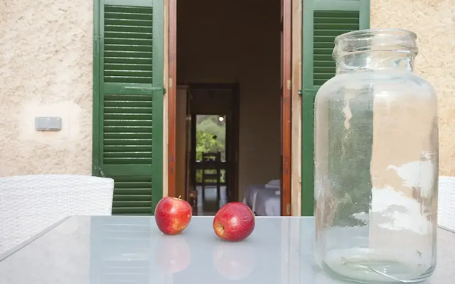Agroturismo Finca Son Sureda
