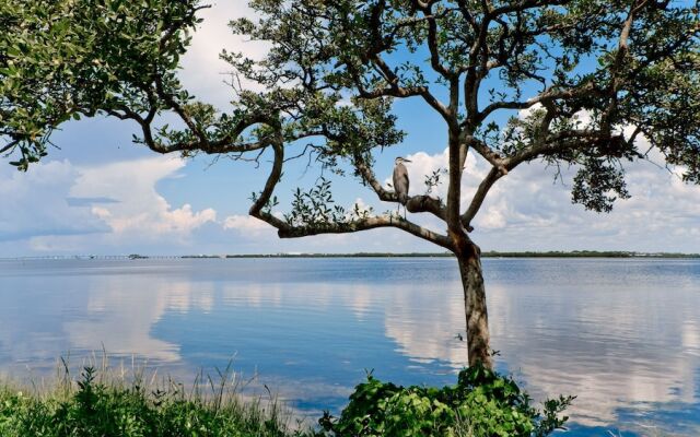 Runaway Bay Resort by BBG