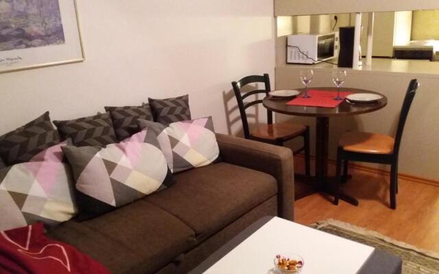 Cosy studio apartment