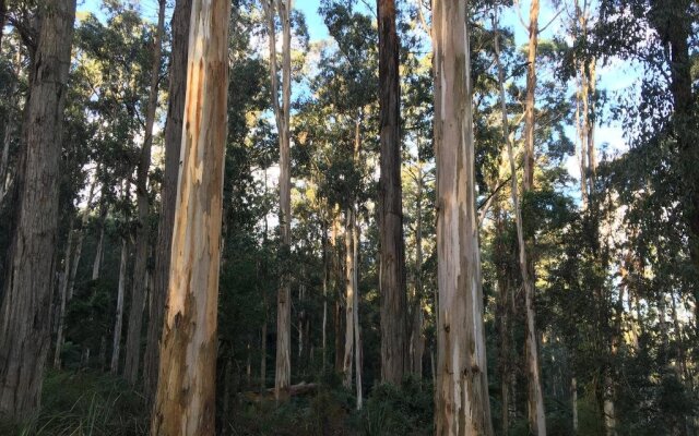 Fernglen Forest Retreat of Mount Dandenong (Self Contained Bed And Breakfast Cottages)