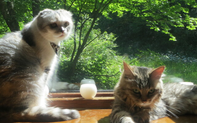 Pension Heart Rest Club 1959