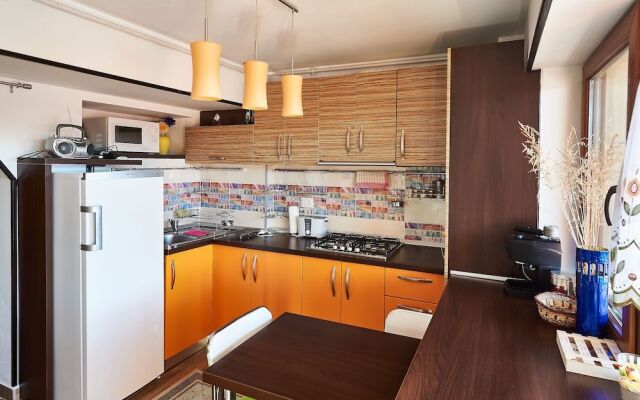 Apartment Poiana Stechil