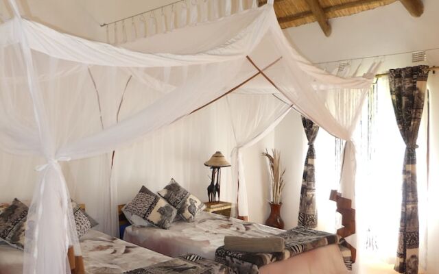 Wild Dogs Lodge
