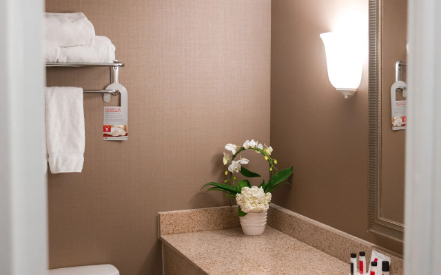 Ramada Plaza by Wyndham Atlanta Downtown CapitolPk