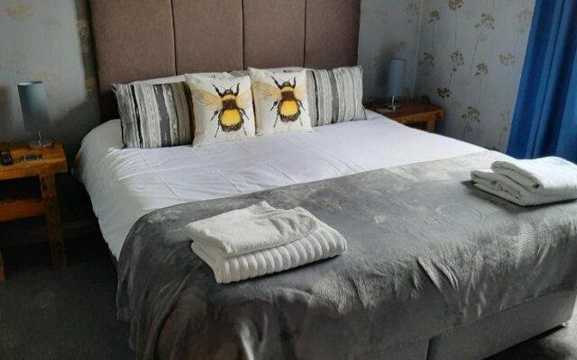 Seals Bacton
