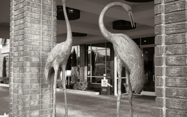Town & Country Inn and Suites