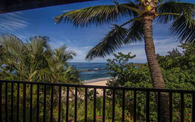 Backpackers Vacation Inn and Plantation Village