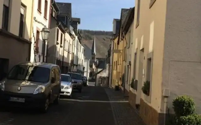 Uitzicht op de Moezel in Urzig