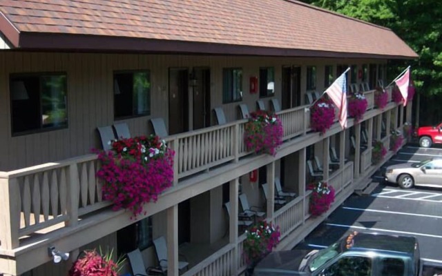 Tall Pines Motel