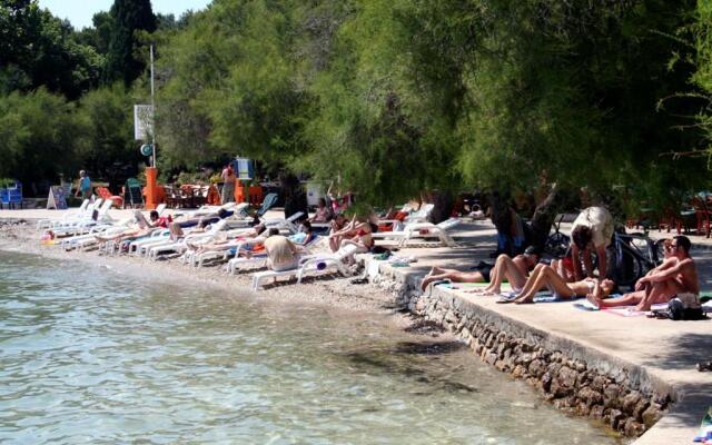 Apartments with WiFi Vodice - 18832