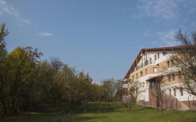 Pensiunea Muntele Verde
