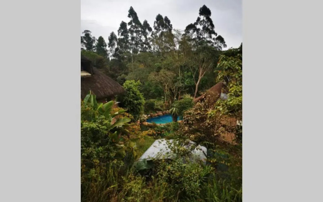 Nature Lovers Paradise